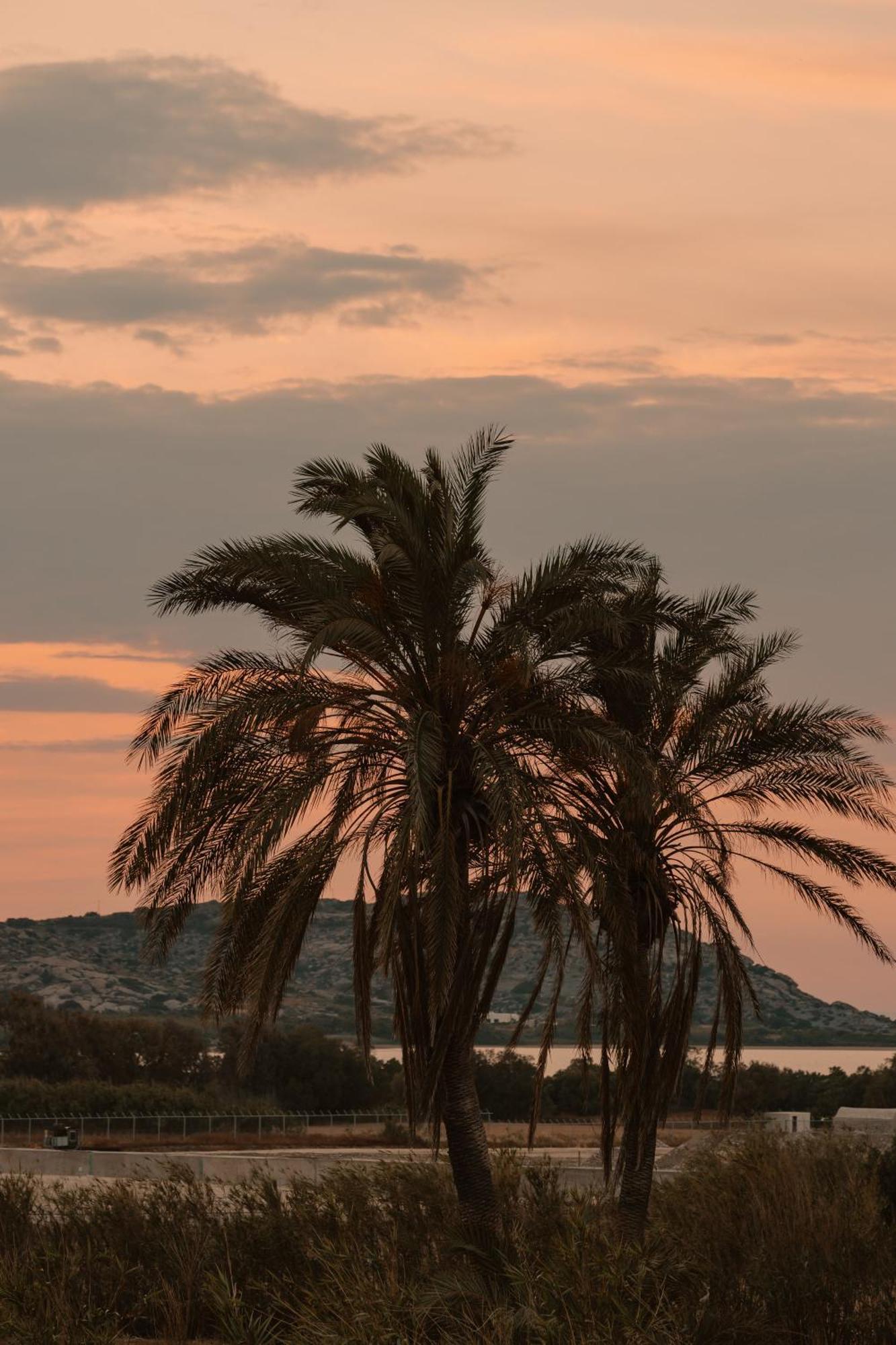 Villa Vaya Agia Anna  Екстериор снимка